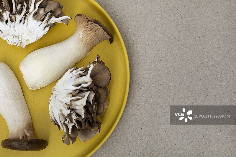 蘑菇黄盘俯视图图片素材