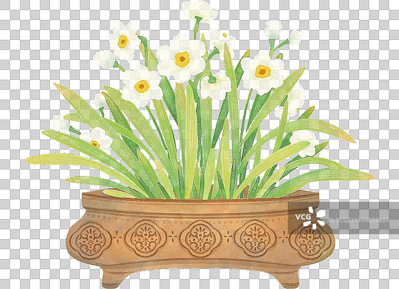 新中式清新水彩风格水仙花图片素材