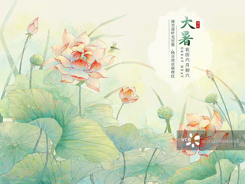 大暑二十四节气插画图片素材