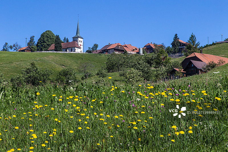 瑞士伯尔尼里芬马特鲜花植物和建筑的风景图片素材