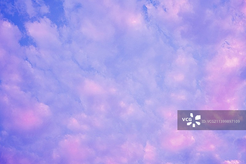 粉色天空的仰视角度美景图片素材