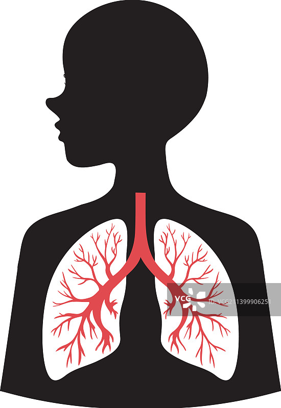 人体肺部图标图片素材