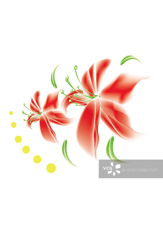 植物花朵贴花图片素材