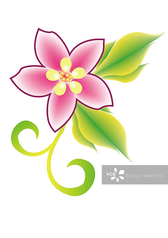 植物花朵贴花图片素材