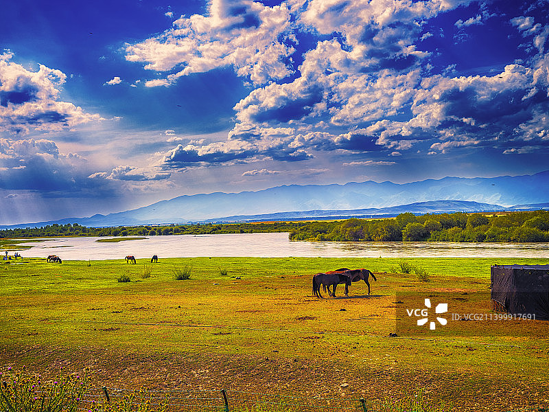 天马御河图片素材