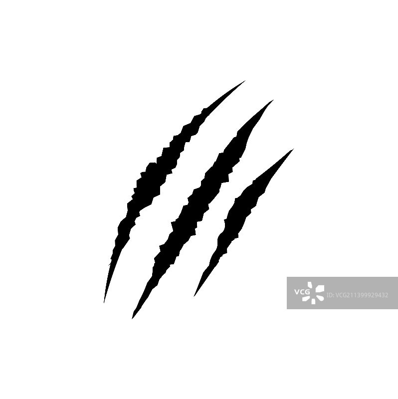 猫科动物爪痕图片素材