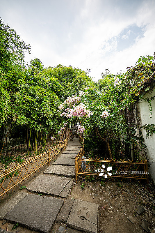 浙江绍兴鲁迅故里三味书屋（寿家台门）：紫薇花盛开的花园图片素材