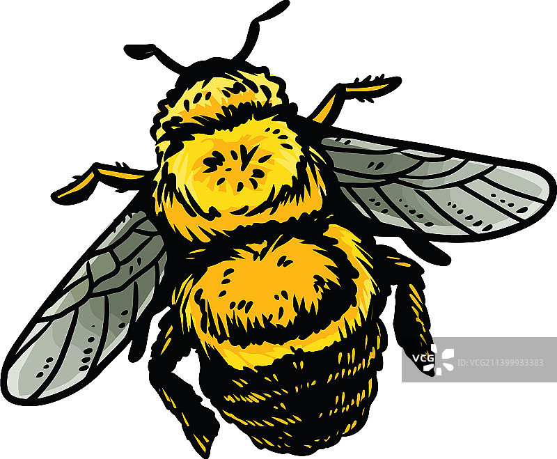大黄蜂卡通图标昆虫轮廓漫画图片素材