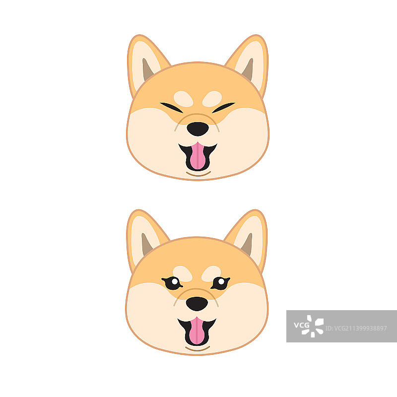 柴犬面部图片素材