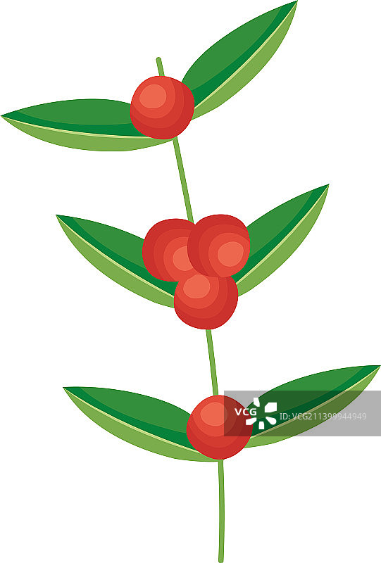 瓜拉纳树枝图标图片素材