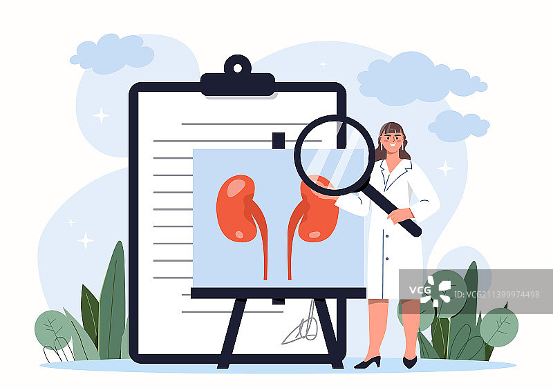 肾脏治疗概念图片素材