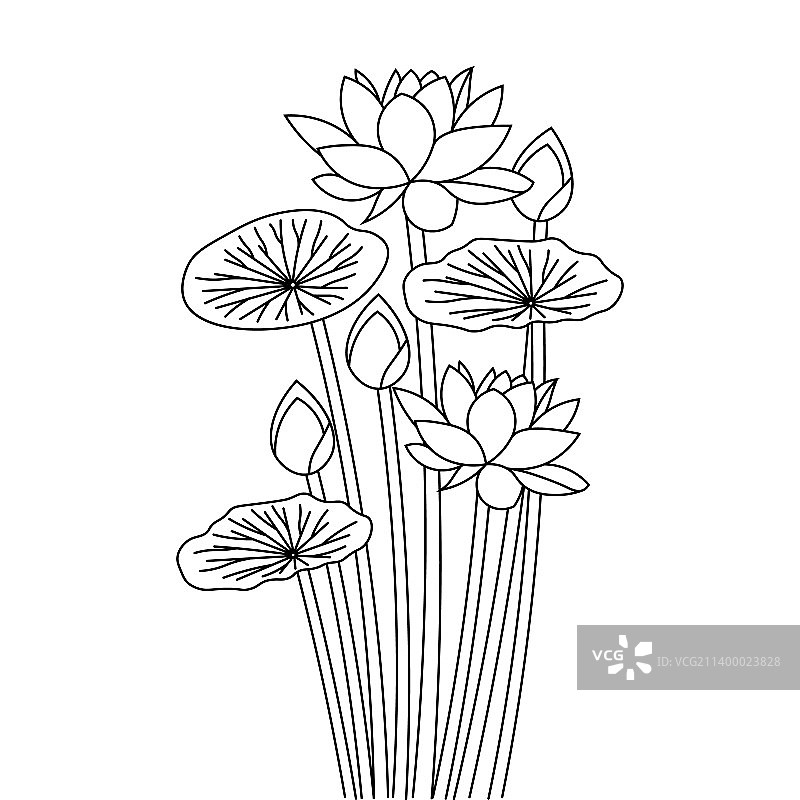 儿童涂色莲花线条素材图片素材