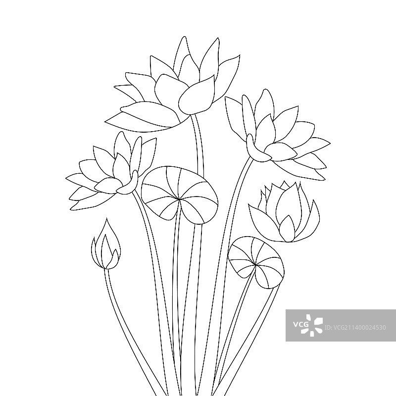 曼尼尔花朵抗压涂色页铅笔画图片素材