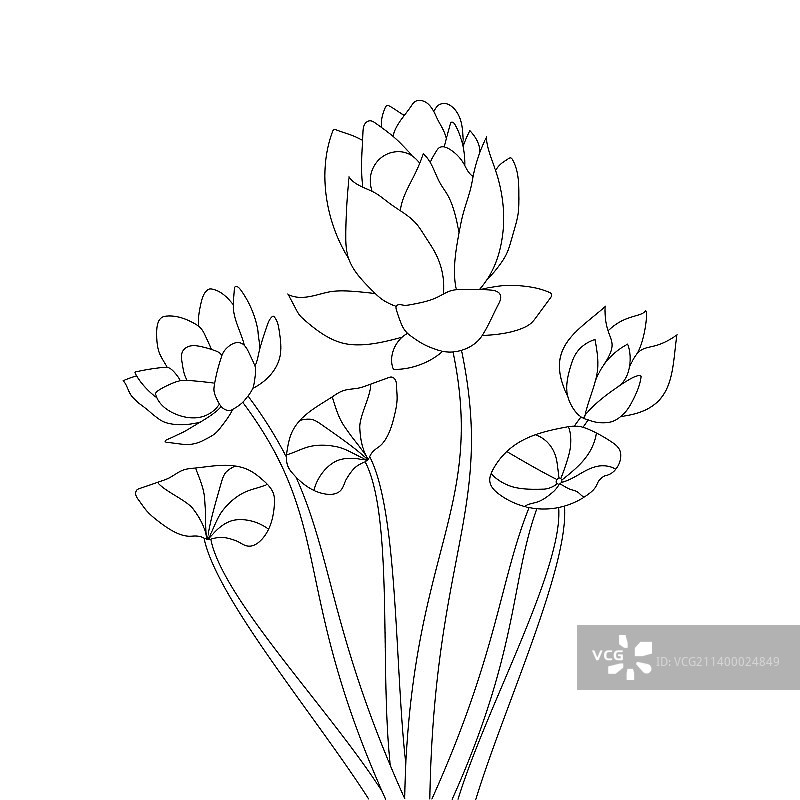 儿童涂色莲花蜡笔画图片素材