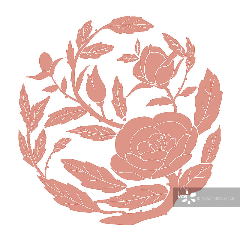 山茶花植物传统古典纹样图片素材