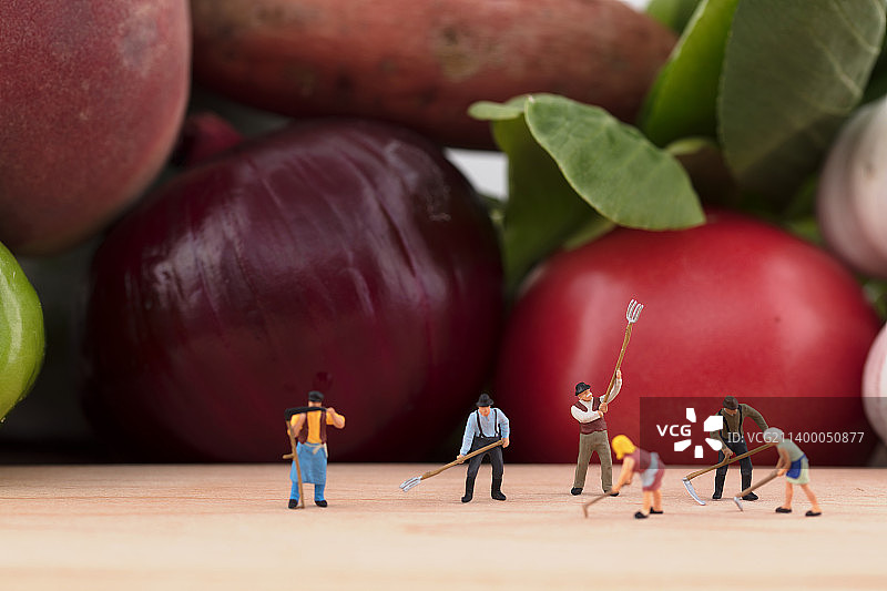 微缩场景农民在新鲜蔬菜前劳动图片素材