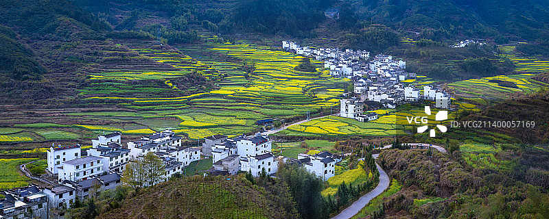 江西婺源-满园春色-徽派建筑图片素材