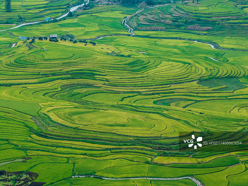 广西南丹巴平稻田风光图片素材