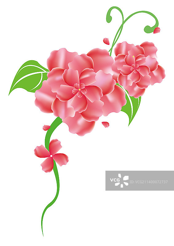 植物花朵图片素材