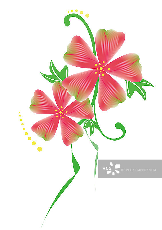 植物花朵图片素材