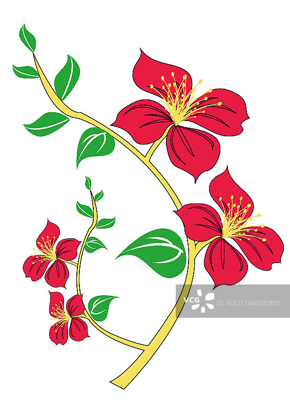 植物花朵图片素材