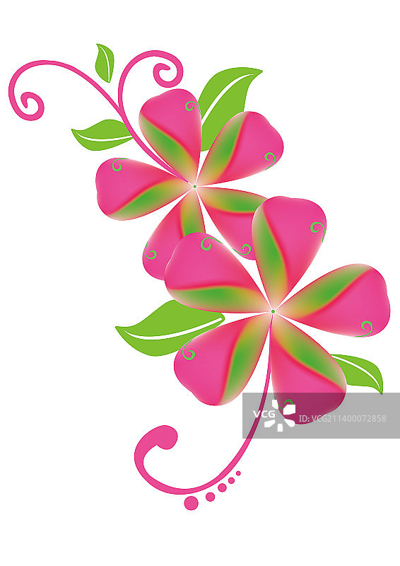 植物花朵图片素材