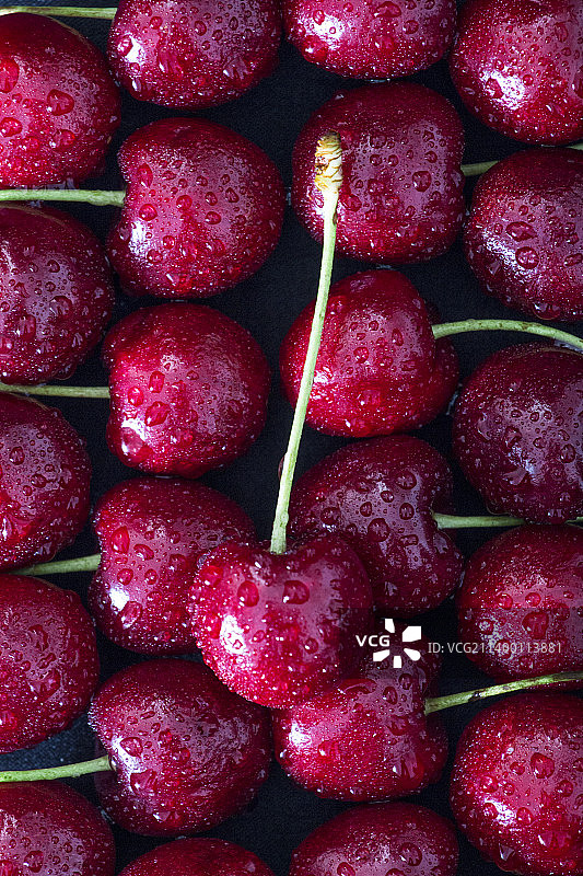 新鲜红透的樱桃图片素材