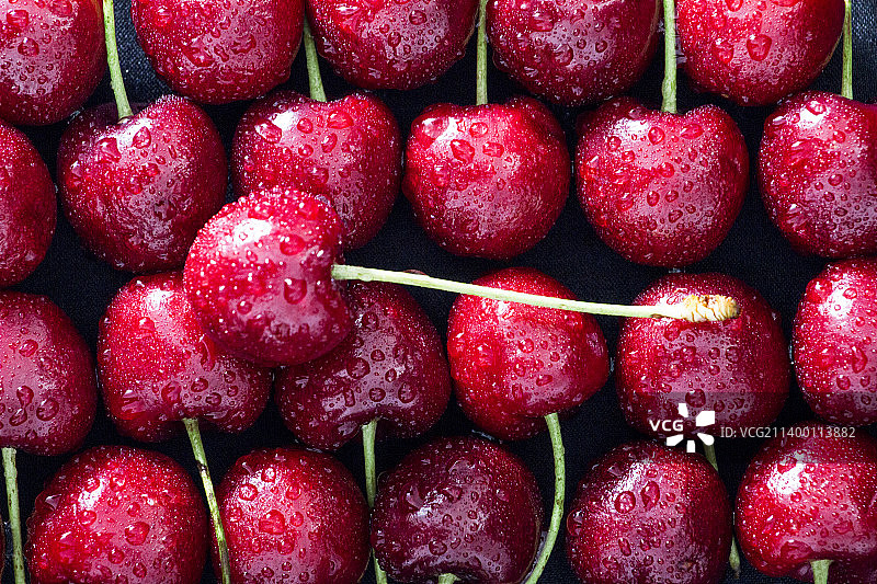 新鲜红透的樱桃图片素材