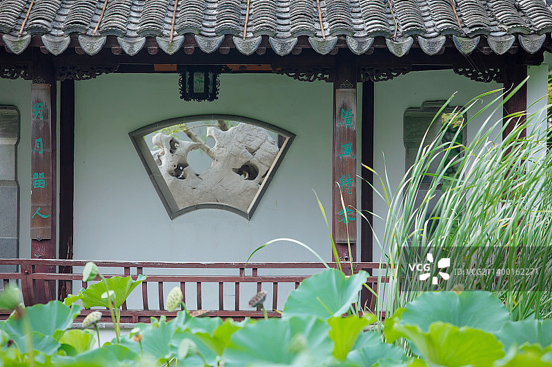 中式园林,古典建筑与荷塘,景观设计图片素材