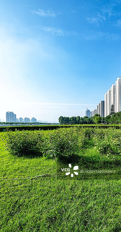 清晨蓝天微云背景下的山西太原汾河公园绿化带建筑景观图片素材