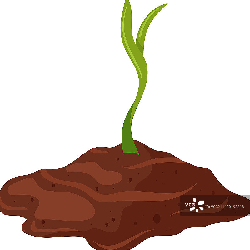 植物生长卡通图片素材