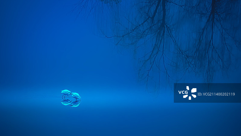 夜之私语图片素材