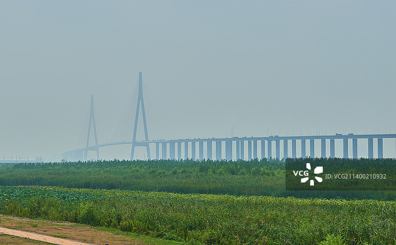 远处的苏通大桥图片素材