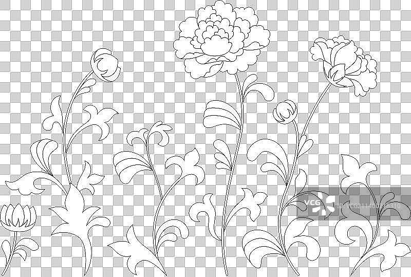 花朵植物纹样线描图片素材