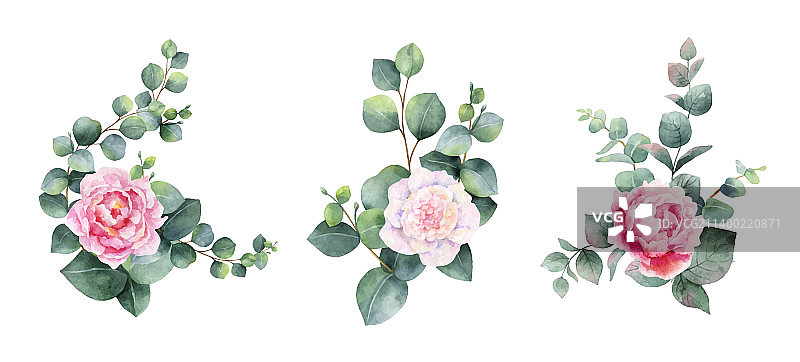 牡丹花水彩花束图片素材