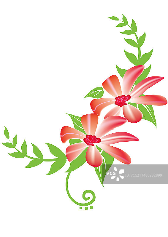 花朵植物鲜花图片素材