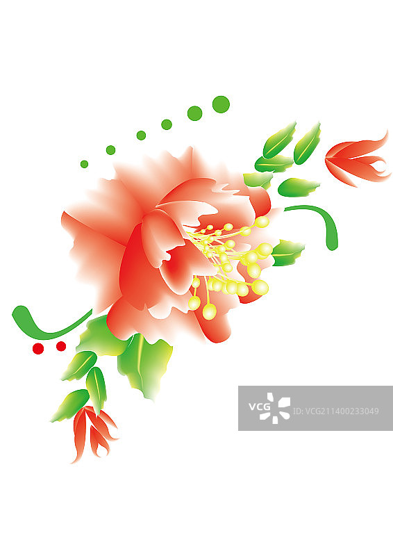 花朵植物鲜花图片素材