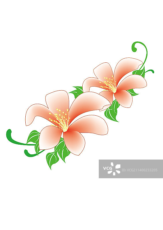 花朵植物鲜花图片素材