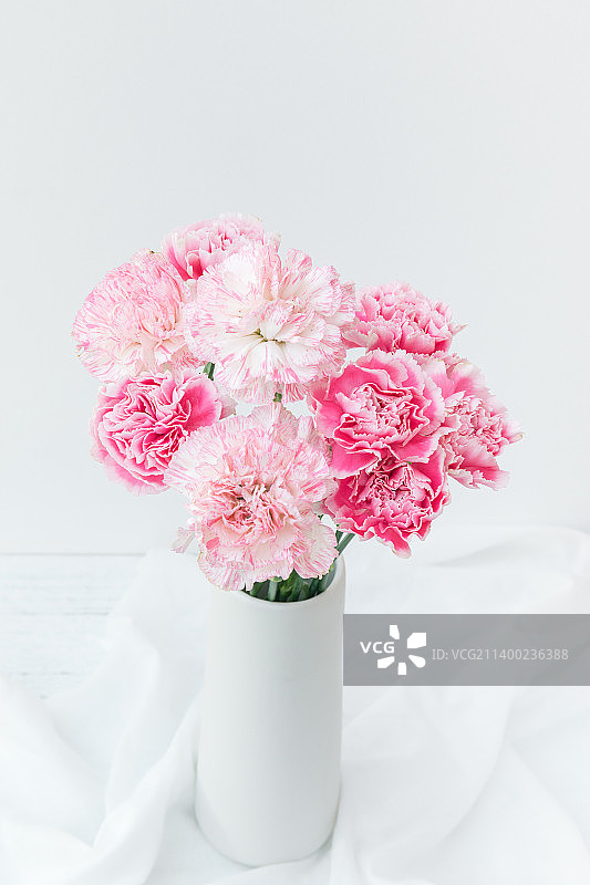 室内一束美丽的康乃馨鲜花图片素材