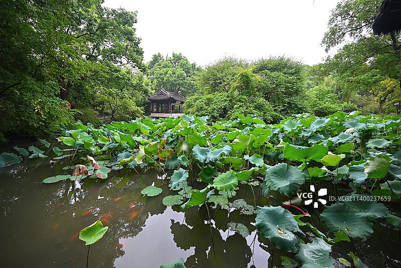 绍兴 沈氏园 沈园图片素材