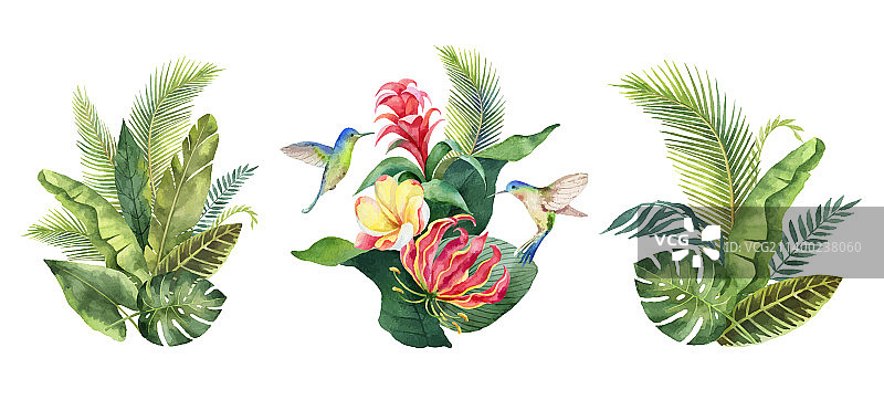 热带叶子水彩套装图片素材