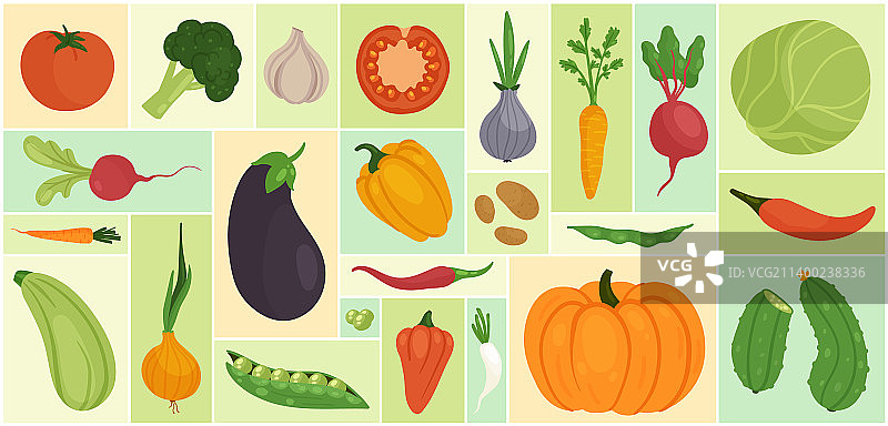 蔬菜套餐新鲜农场食品配料图片素材