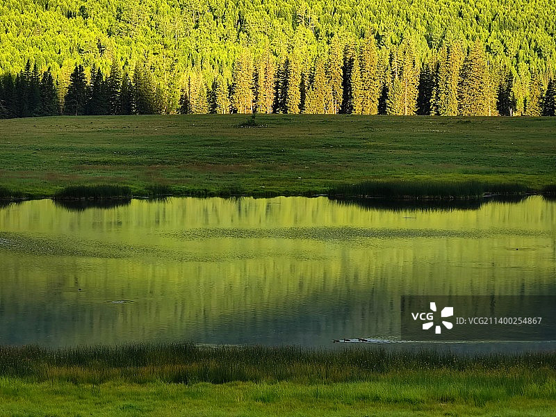 寂静的鸭泽湖（喀纳斯）图片素材