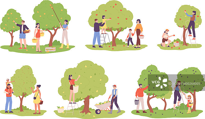 人们采摘果树图片素材