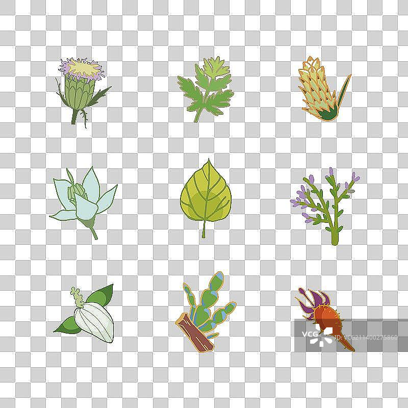 清新花草中药植物彩色简笔画图标2图片素材