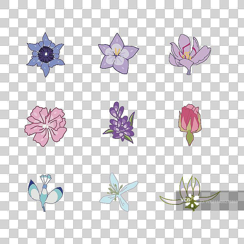 清新花草中药植物彩色简笔画图标3图片素材