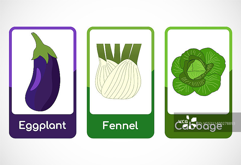 儿童教育蔬菜闪卡图片素材