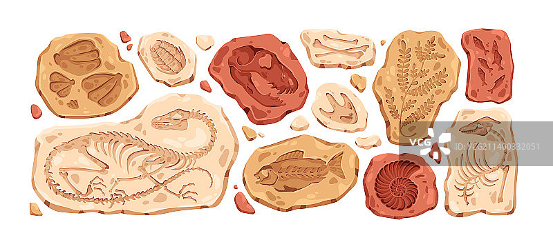 侏罗纪恐龙化石考古图片素材