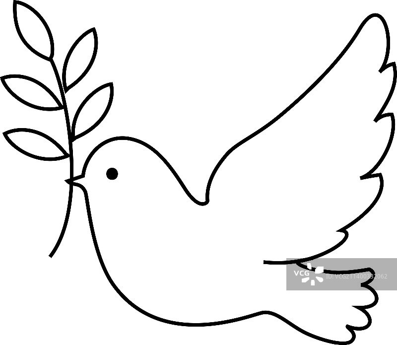 飞鸽与橄榄枝象征和平图片素材