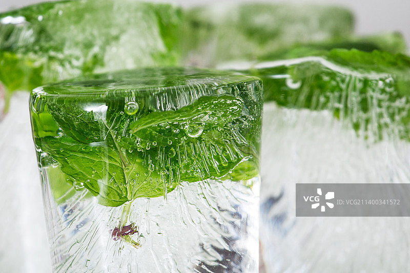 冰冻绿色清凉薄荷叶图片素材